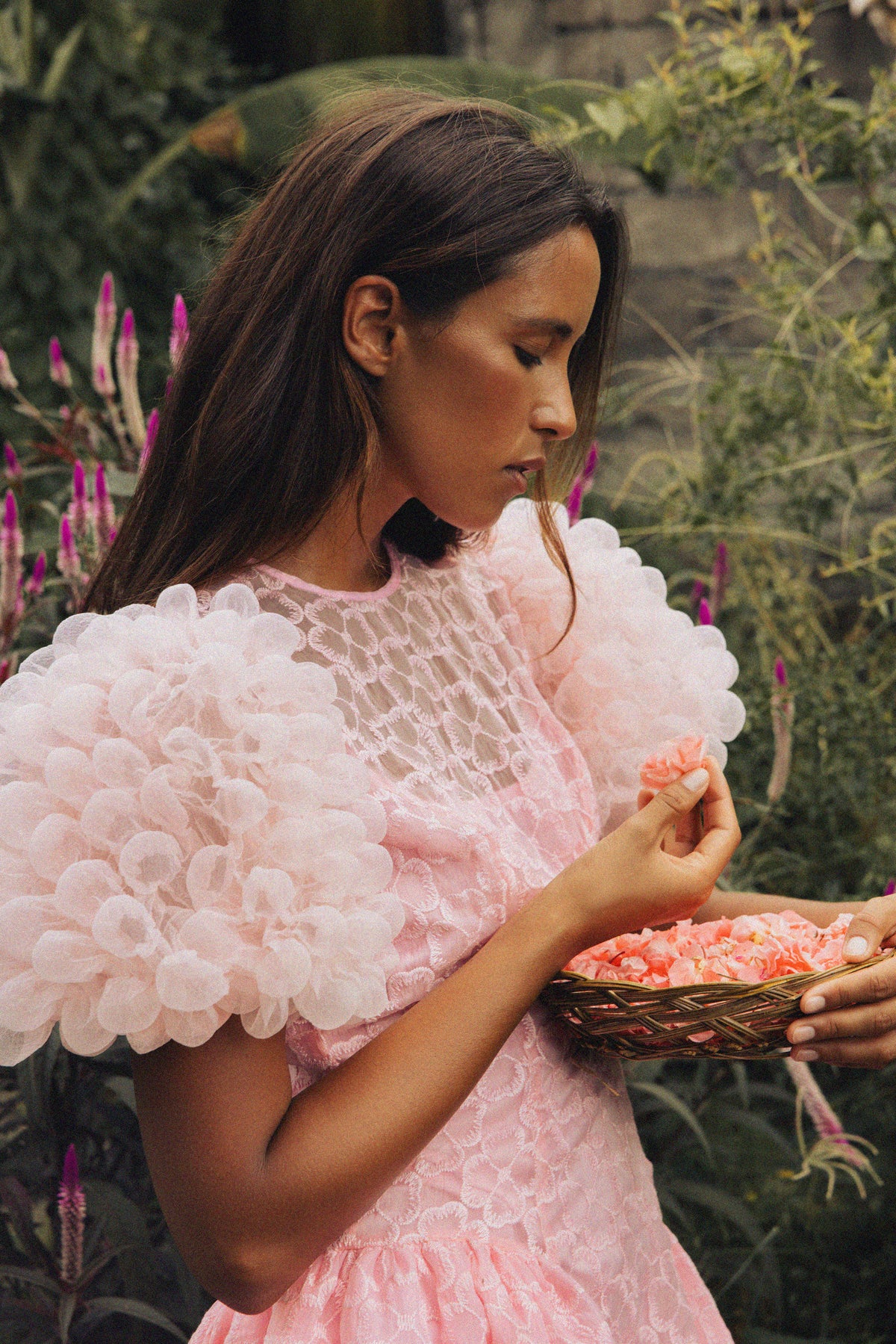 CeliaB — colección editorial