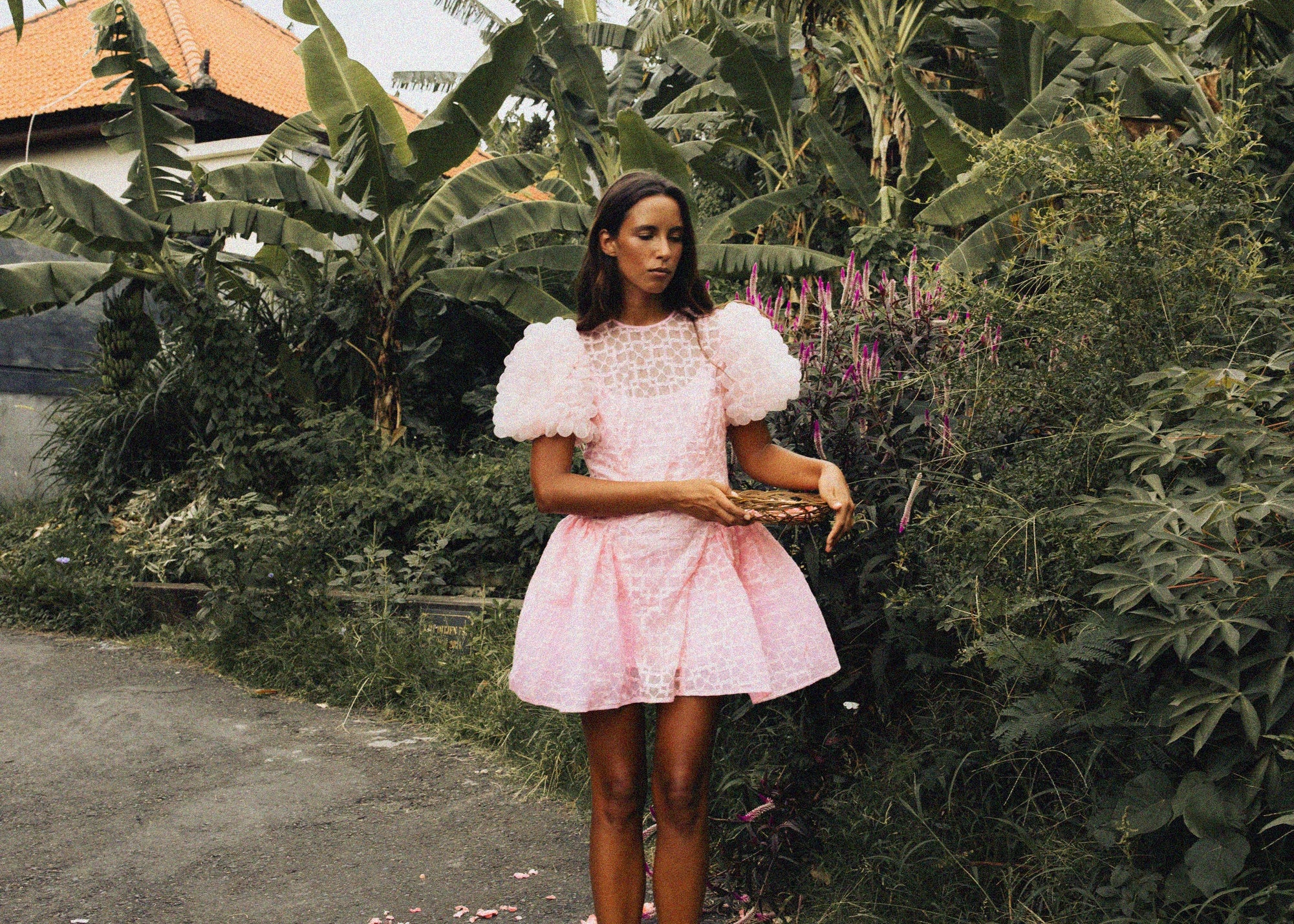 Cosmos Dress – CELIA B US